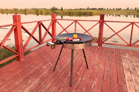 Camping Stove
