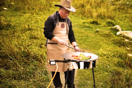 camping gas stove bulk